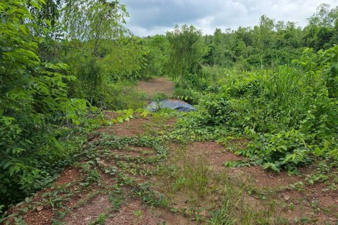 Земельный участок в Пхитсанулоке, Таиланд 1462400м2  № 155965 - фото 19