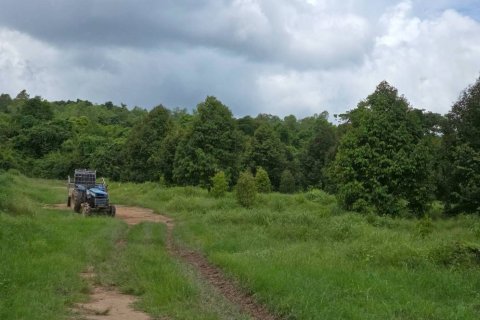 Земельный участок в Пхитсанулоке, Таиланд 1462400м2  № 155965 - фото 7