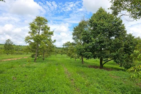 Земельный участок в Пхитсанулоке, Таиланд 1462400м2  № 155965 - фото 4