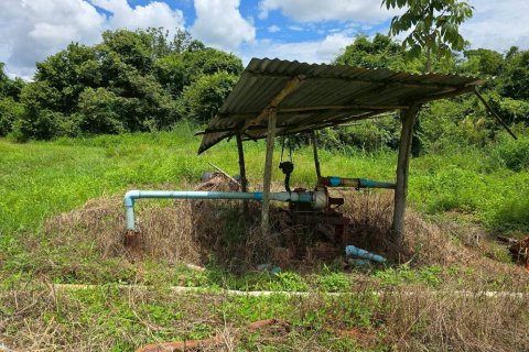 Земельный участок в Пхитсанулоке, Таиланд 1462400м2  № 155965 - фото 12