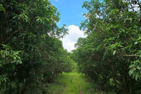 Земельный участок в Пхитсанулоке, Таиланд 1462400м2  № 155965 - фото 8