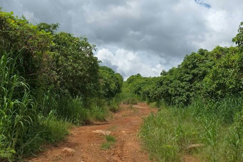 Земельный участок в Пхитсанулоке, Таиланд 1462400м2  № 155965 - фото 2