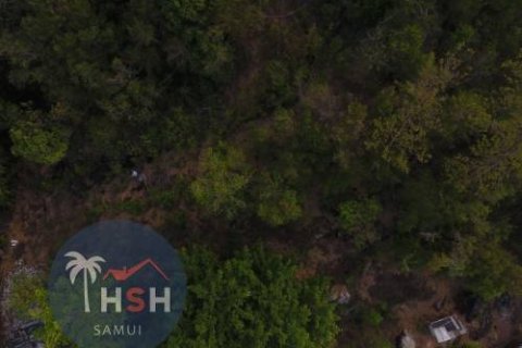 Land in Ko Samui, Thailand 800 sq.m. № 180245 - photo 6