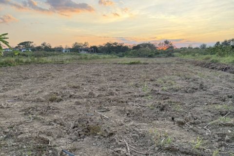 Terrain à Chiang Mai, Thaïlande № 156325 - photo 2