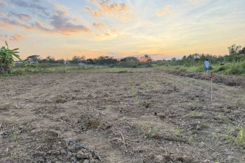 Terrain à Chiang Mai, Thaïlande № 156325 - photo 3