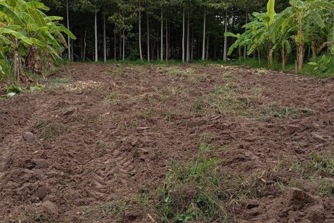 Дом в Накхонратчасиме, Таиланд с 3 спальнями  № 151983 - фото 6