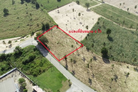 Земельный участок в Паттайе, Таиланд 3200м2  № 151984 - фото 6