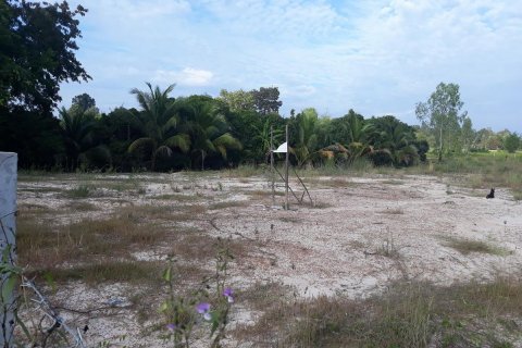 Земельный участок в Удонтхани, Таиланд 14400м2  № 151988 - фото 6