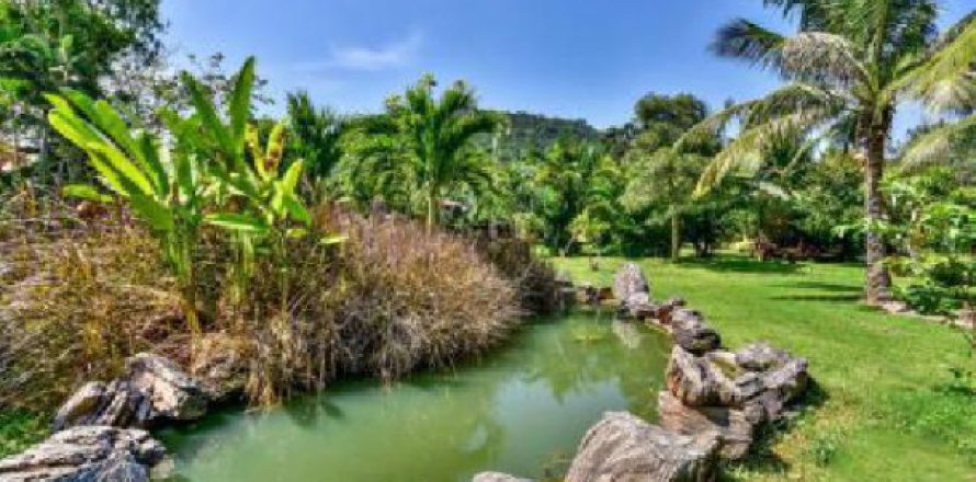 Terrain à Hua Hin, Thaïlande 1920000 m2 № 193430