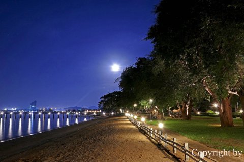 Кондоминиум с 2 спальнями в Паттайе, Таиланд № 157590 - фото 20