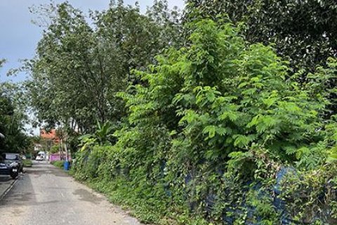 Terrain à Hat Yai, Thaïlande 3200 m2 № 159597 - photo 4