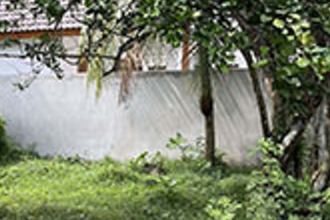 Terrain à Hat Yai, Thaïlande 3200 m2 № 159597 - photo 5