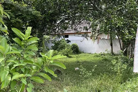 Terrain à Hat Yai, Thaïlande 3200 m2 № 159597 - photo 3