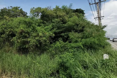 Land in Saraburi, Thailand 3200 sq.m. № 159550 - photo 6