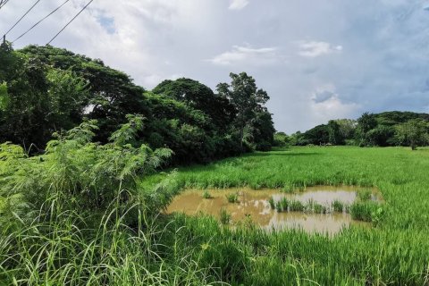 Land in Saraburi, Thailand 3200 sq.m. № 159550 - photo 2