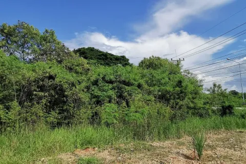 Land in Saraburi, Thailand 3200 sq.m. № 159550 - photo 4