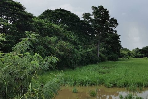 Land in Saraburi, Thailand 3200 sq.m. № 159550 - photo 3