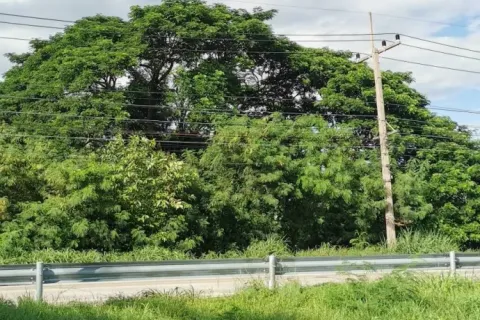 Land in Saraburi, Thailand 3200 sq.m. № 159550 - photo 7