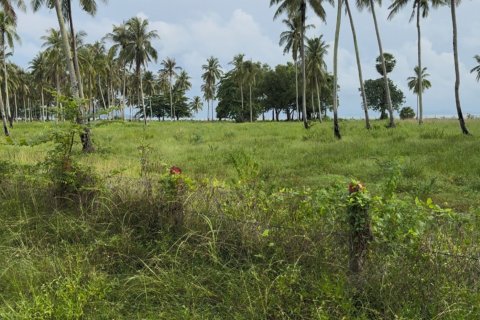 Земельный участок в Нуеа Кхлонге, Таиланд 10588м2 № 159549 - фото 4