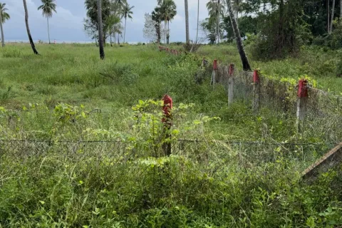 Земельный участок в Нуеа Кхлонге, Таиланд 10588м2 № 159549 - фото 2