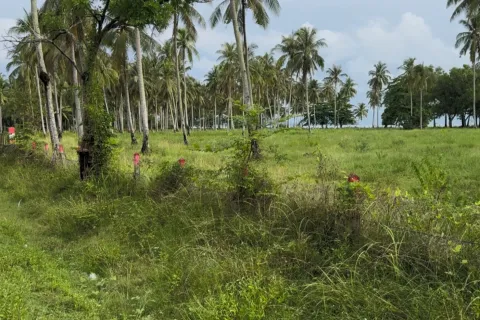 Земельный участок в Нуеа Кхлонге, Таиланд 10588м2 № 159549 - фото 5