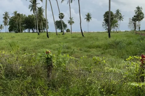 Земельный участок в Нуеа Кхлонге, Таиланд 10588м2 № 159549 - фото 3