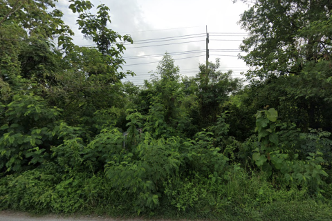 Terrain à Lampang, Thaïlande 9600 m2 № 159551