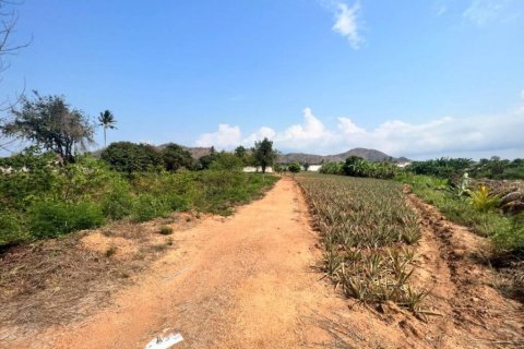 Земельный участок в Пран Бури, Таиланд  № 172706 - фото 4