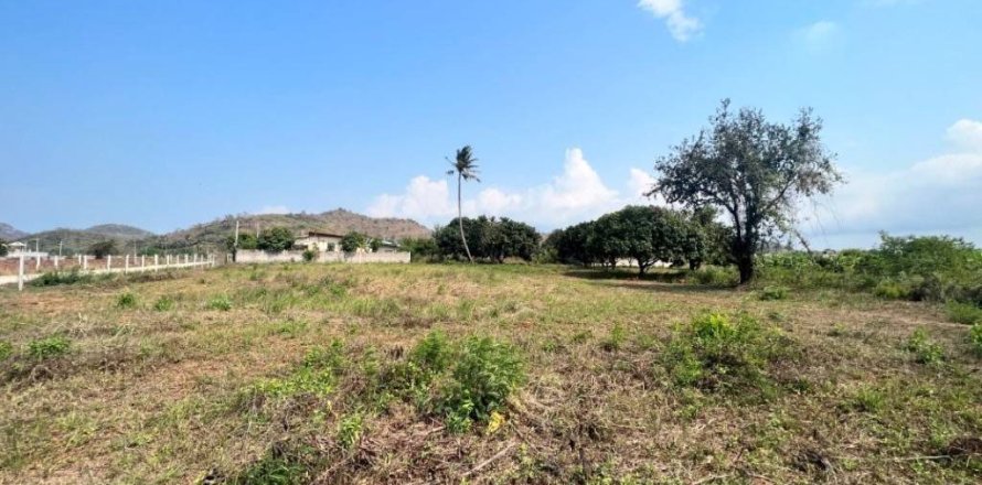 Земельный участок в Пран Бури, Таиланд  № 172706