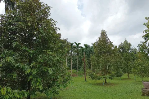 Terrain à Chanthaburi, Thaïlande 4800 m2 № 170835 - photo 3