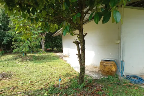 Terrain à Chanthaburi, Thaïlande 4800 m2 № 170835 - photo 11