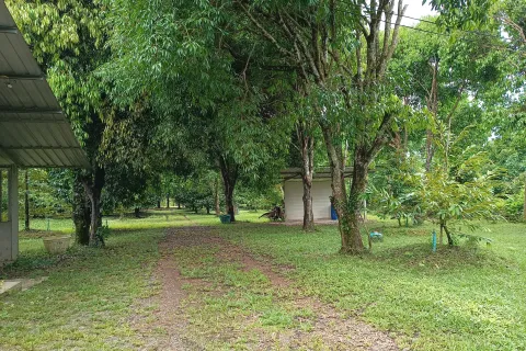 Terrain à Chanthaburi, Thaïlande 4800 m2 № 170835 - photo 8