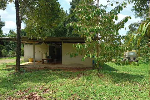 Terrain à Chanthaburi, Thaïlande 4800 m2 № 170835 - photo 15