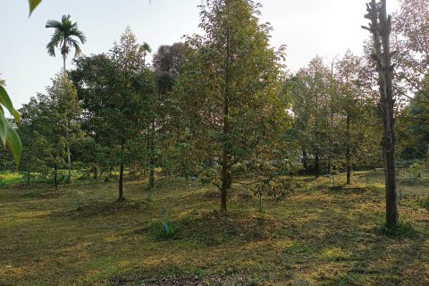 Terrain à Chanthaburi, Thaïlande 4800 m2 № 170835 - photo 17