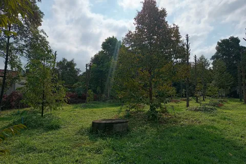 Terrain à Chanthaburi, Thaïlande 4800 m2 № 170835 - photo 5