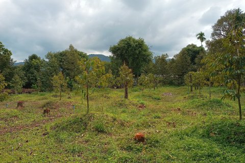 Terrain à Chanthaburi, Thaïlande 4800 m2 № 170835 - photo 18