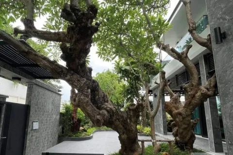 Haus in Bang Khen, Bangkok, Thailand 5 Schlafzimmer № 218793 - Foto 9