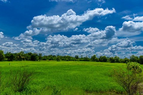 Land in Ubon Ratchathani, Thailand 9600 sq.m. № 145066 - photo 1