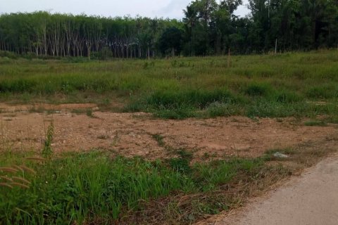 Land in Chumphon, Thailand 7916 sq.m. № 160784 - photo 7