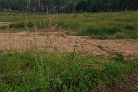 Land in Chumphon, Thailand 7916 sq.m. № 160784 - photo 5