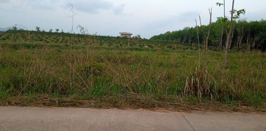 Land in Chumphon, Thailand 7916 sq.m. № 160784