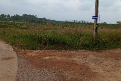 Land in Chumphon, Thailand 7916 sq.m. № 160784 - photo 4