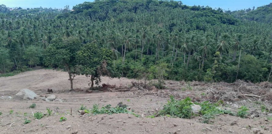 Terrain à Ko Samui, Thaïlande 2024 m2 № 167752