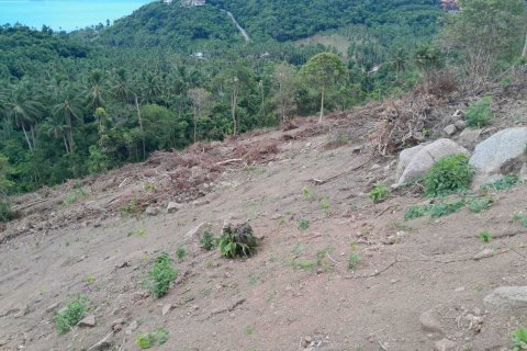 Terrain à Ko Samui, Thaïlande 2024 m2 № 167752 - photo 8