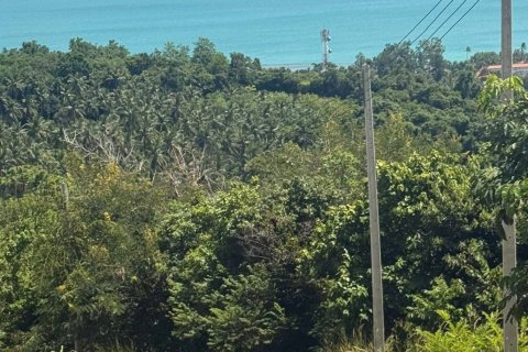 Terrain à Ko Samui, Thaïlande 2024 m2 № 167752 - photo 2