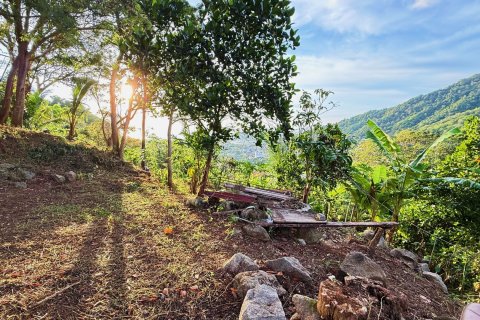 Land in Phuket, Thailand 4072 sq.m. № 147747 - photo 4