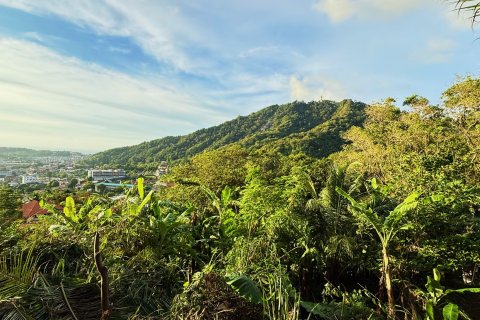 Land in Phuket, Thailand 4072 sq.m. № 147747 - photo 7
