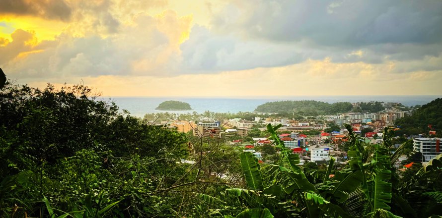 Land in Phuket, Thailand 4072 sq.m. № 147747