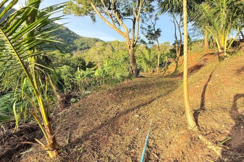 Land in Phuket, Thailand 4072 sq.m. № 147747 - photo 5