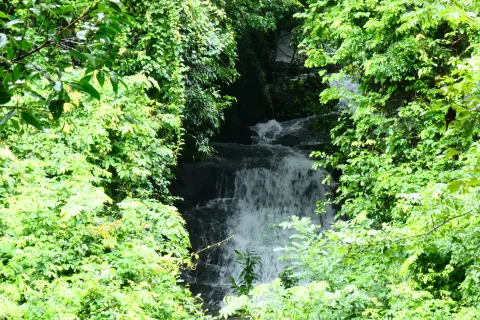 House in Nakhon Nayok, Thailand 3 bedrooms № 148072 - photo 9